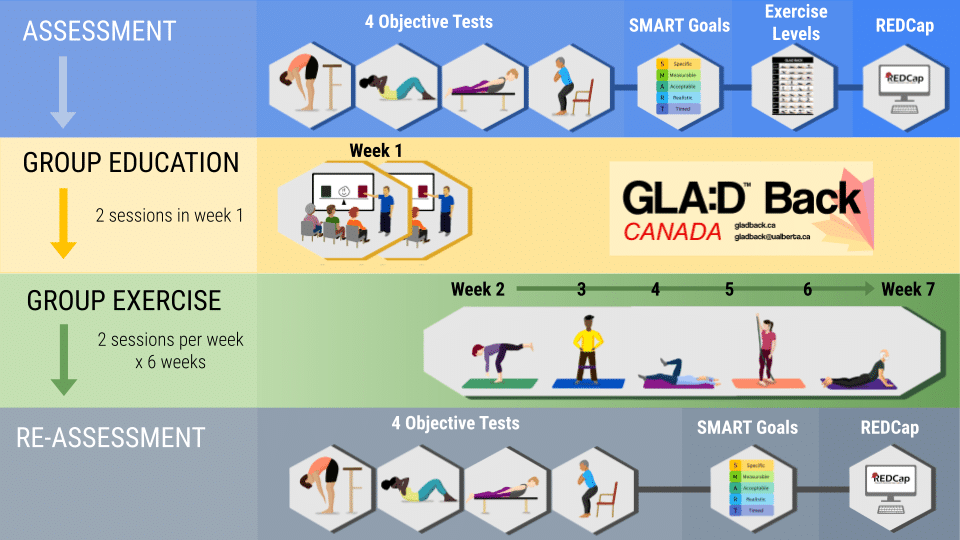 GLA_D Back Program Flowchart